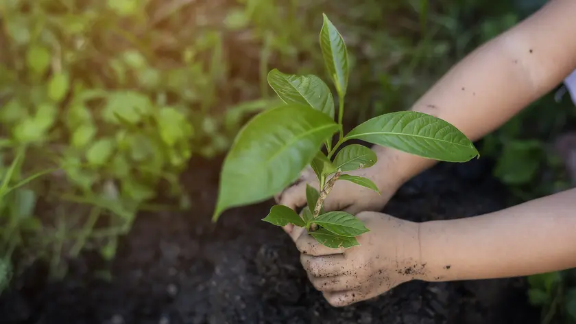 toilette intime, produits respectueux de la terre
