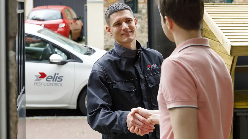 Lutte anti-nuisibles - Ongediertebestrijding