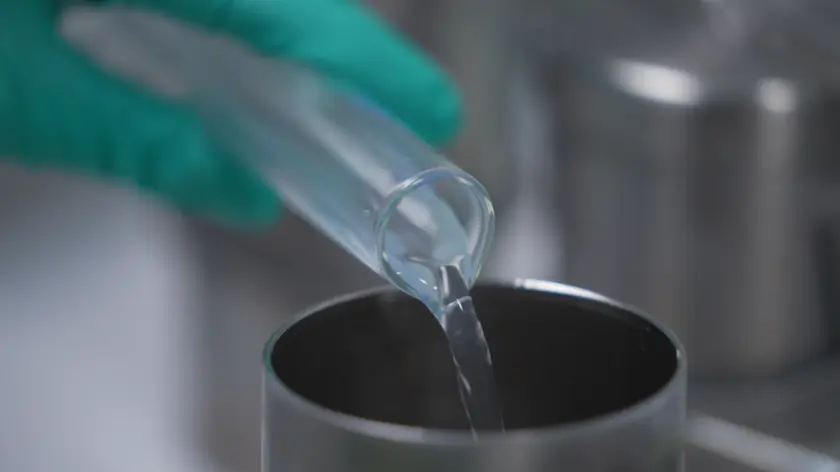 Laboratorium Elis - Laboratoire Elis