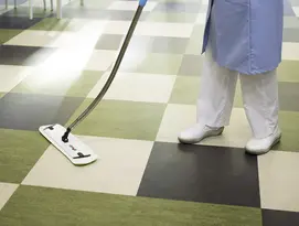 mops Dusting & Scrubing green Elis
