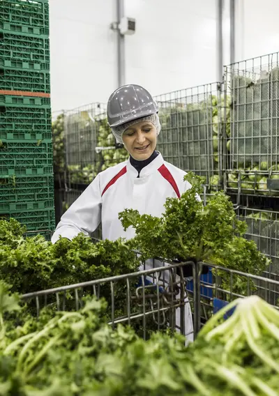 vêtements de travail, vetements de travail, agroalimentaire, elis, blanchisserie elis, blanchisserie bruxelles, secteur agroalimentaire, wasserij brussel, agrovoeding, werkkledij
